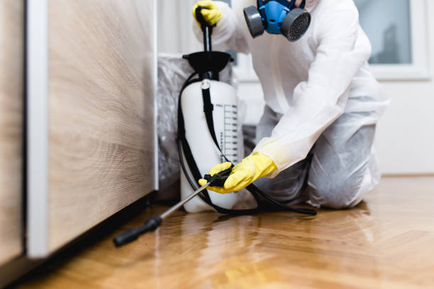 Best Mosquito Control Services  in Melbourne, FL