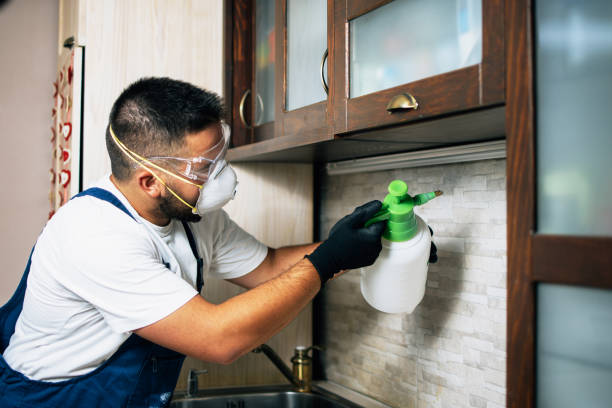 Best Pest Control Near Me  in Melbourne, FL