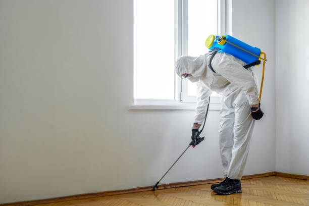 Reliable Melbourne, FL Pest Control Solutions