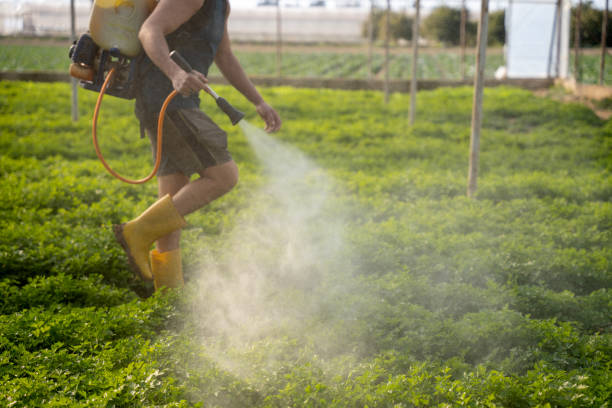 Best Wildlife Control Services  in Melbourne, FL