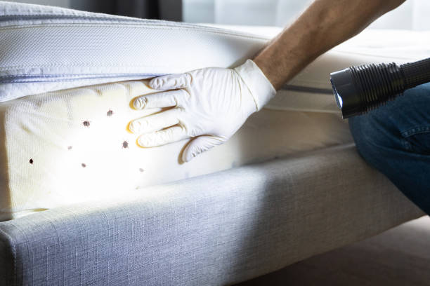Best Commercial Pest Control Services  in Melbourne, FL