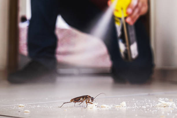 Best Wasp Removal Services  in Melbourne, FL