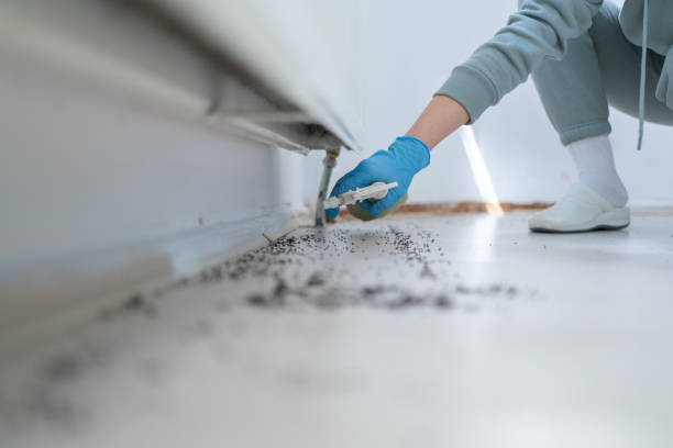  Melbourne, FL Pest Control Pros